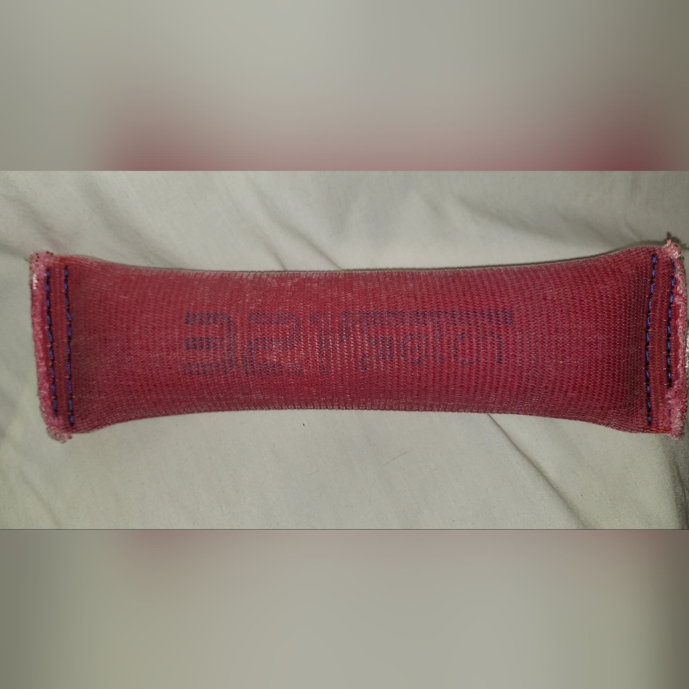 321 Fetch Dog Toy
